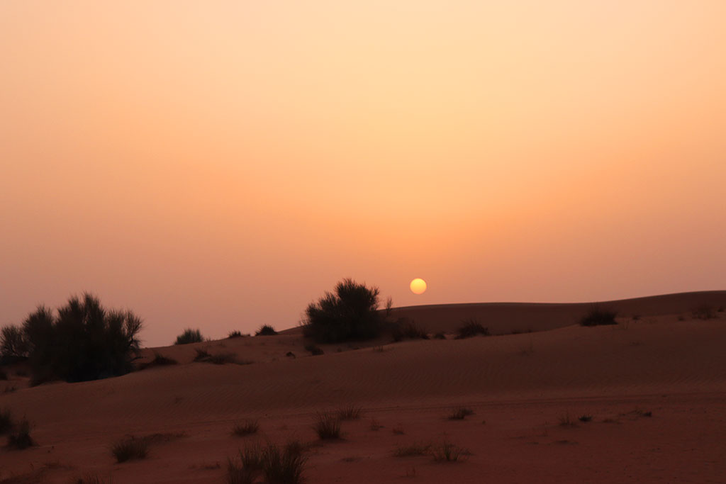 il sole che tramonta sulle dune